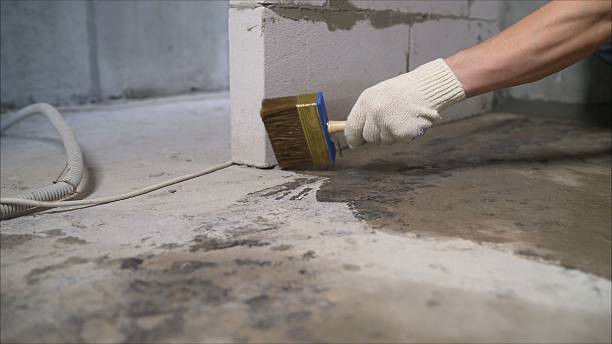 SJ Waterproofing Pros Waterproofing coverage map for Farwell, MI and surrounding area